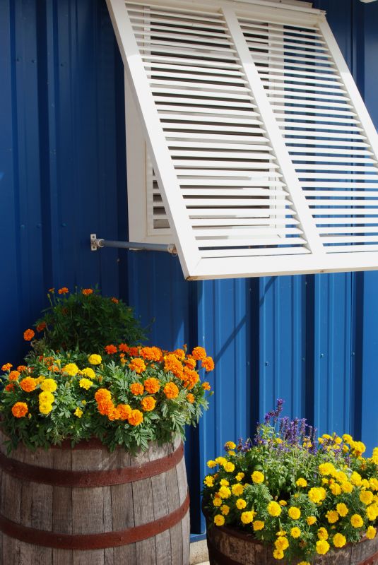 Shutters Installation in Littleton, CO