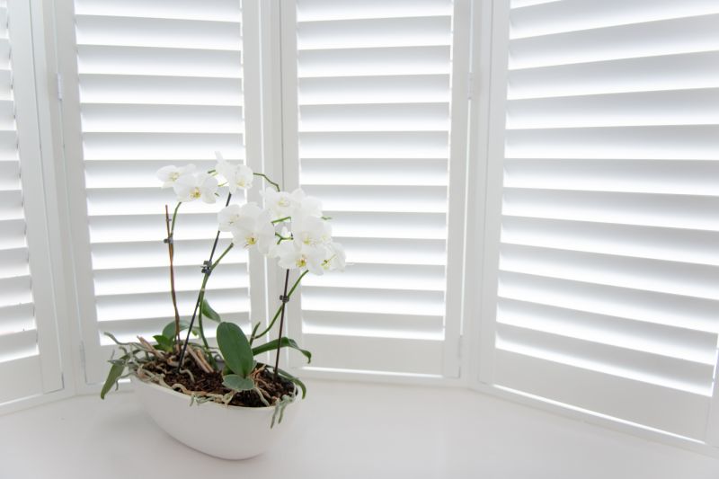 Wood Shutters Installation in Richmond, VA